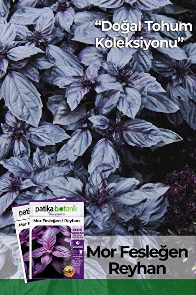 Patika Botanik Tohum