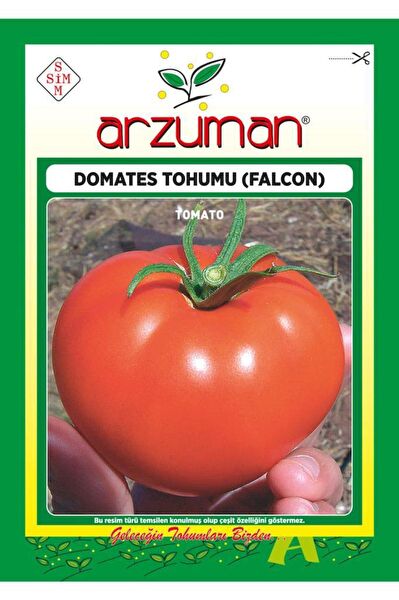 Patika Botanik Tohum