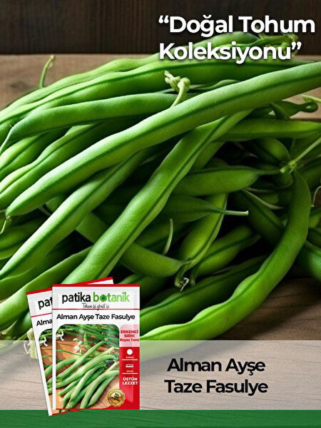 Patika Botanik Tohum