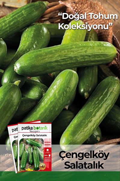 Patika Botanik Tohum