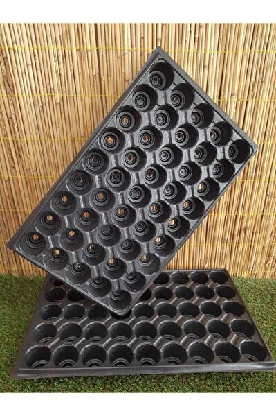 Patika Botanik Tohum