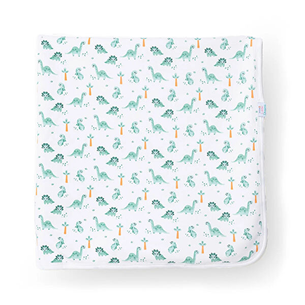 Little Dreams Bebek Battaniyesi