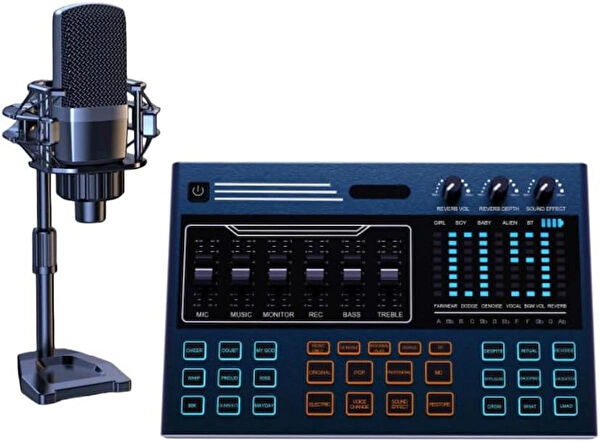 Coverzone Bilgisayar Mikrofonu