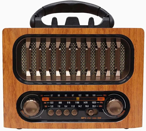 Coverzone Taşınabilir Hoparlör