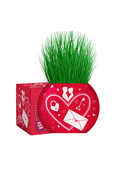 Toyaş Parti Süsleme Malzemeleri