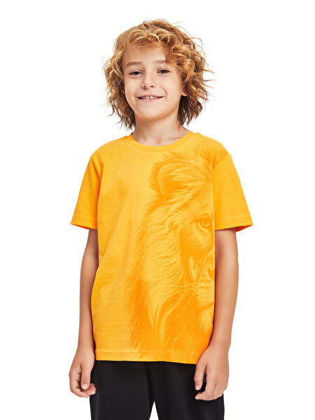 Galatasaray Taraftar Tişört, Sweatshirt