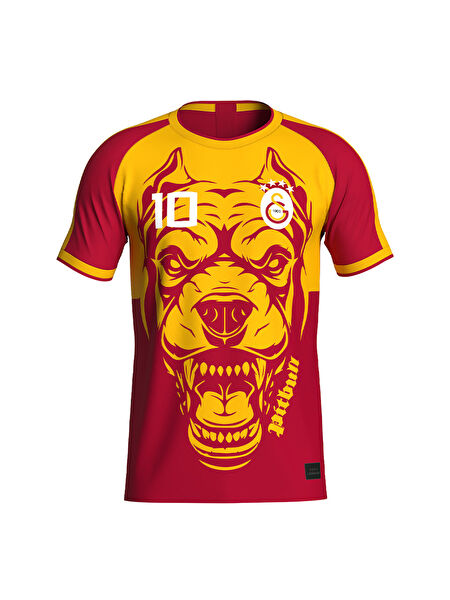 Galatasaray Taraftar Tişört, Sweatshirt