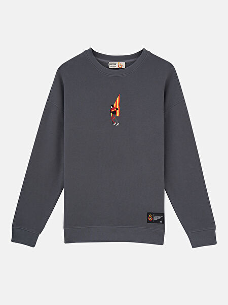Galatasaray Erkek Sweatshirt