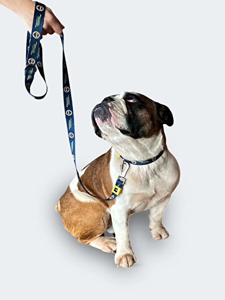 Fenerbahçe Köpek Tasmaları