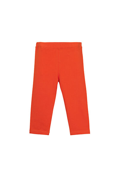 Lovetti Kız Çocuk Tayt