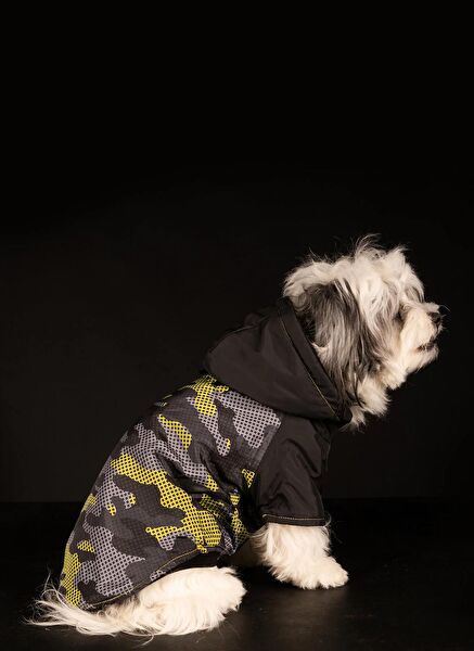 Göktürk Pati Evi Köpek Elbisesi