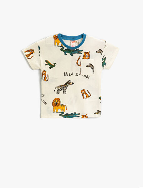 Koton Bebek Sweatshirt