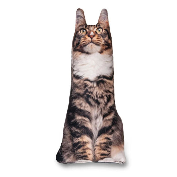 Lepus Kedi Oyuncakları