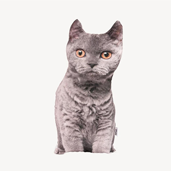 Lepus Kedi Oyuncakları