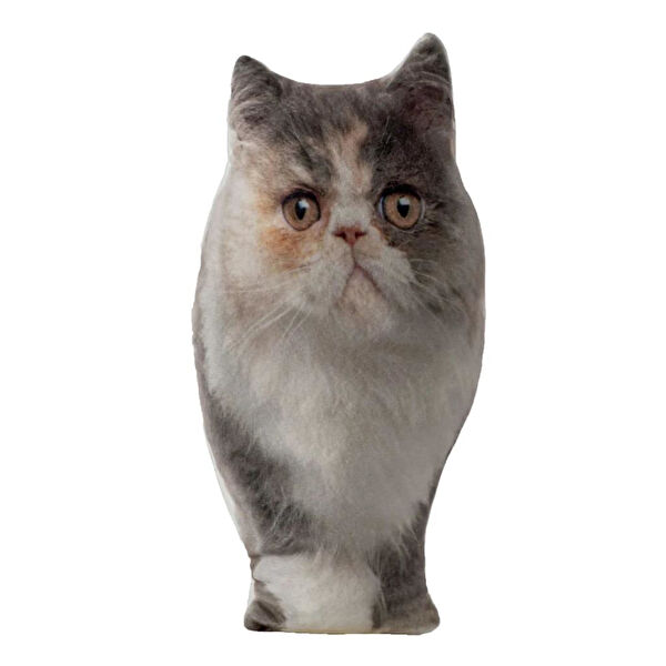 Lepus Kedi Oyuncakları