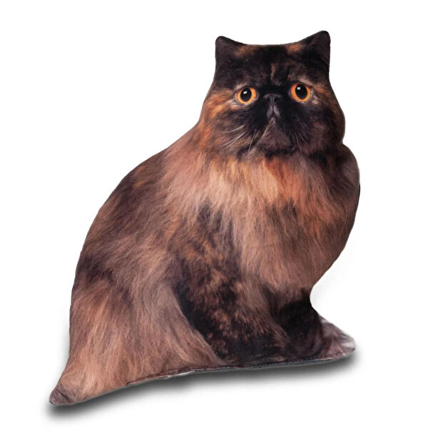 Lepus Kedi Oyuncakları