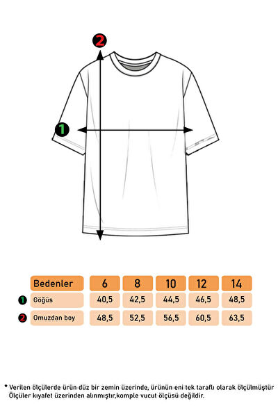 Toontoy Kids Erkek Çocuk Tişört