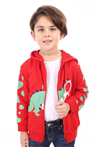 Toontoy Kids Erkek Çocuk Hırka