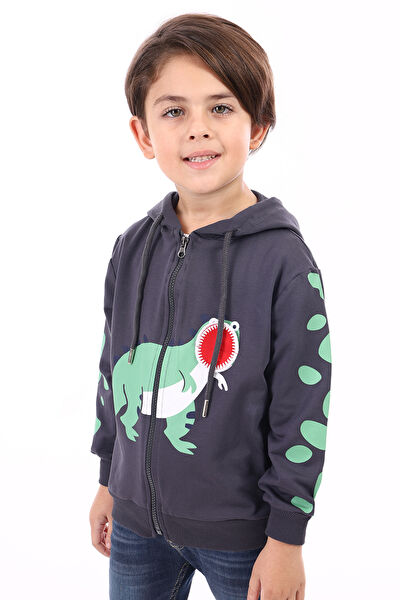 Toontoy Kids Erkek Çocuk Hırka