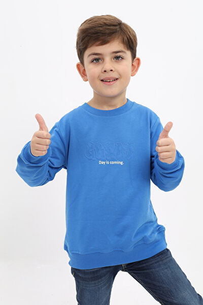 Toontoy Kids Erkek Çocuk Sweatshirt