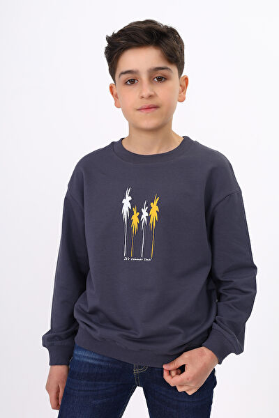 Toontoy Kids Erkek Çocuk Sweatshirt