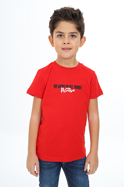 Toontoy Kids Erkek Çocuk Tişört