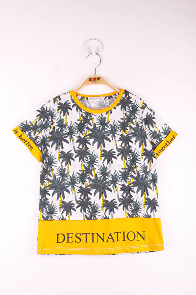 Toontoy Kids Erkek Çocuk Tişört