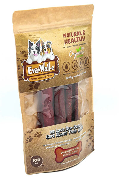 Eva & Wall-e Köpek Kemikleri