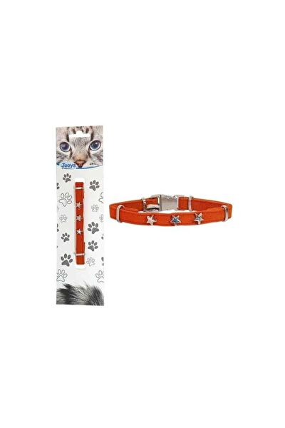 Jooys Kedi Tasmaları ve İsimlikler