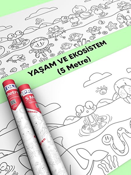 Proll Resim Defteri, Kağıtları