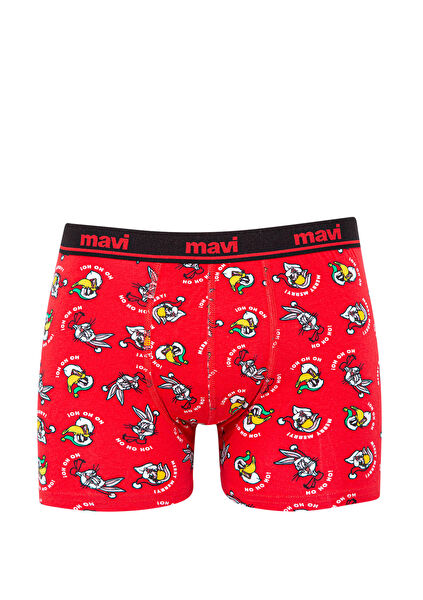 Mavi Erkek Boxer, Slip, Külot