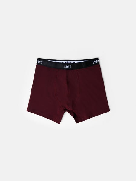 Loft Erkek Boxer, Slip, Külot
