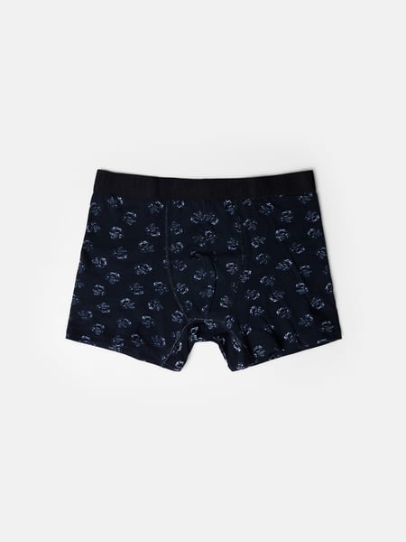 Loft Erkek Boxer, Slip, Külot