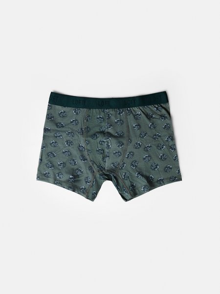 Loft Erkek Boxer, Slip, Külot