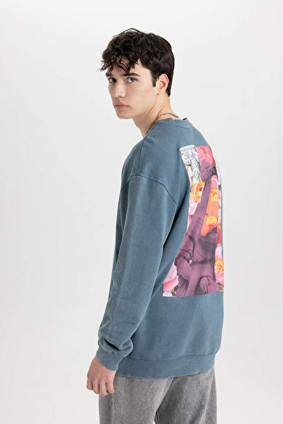 DeFacto Erkek Sweatshirt