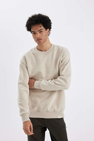 DeFacto Erkek Sweatshirt