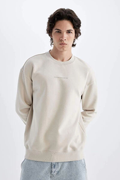 DeFacto Erkek Sweatshirt