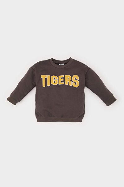 DeFacto Bebek Sweatshirt