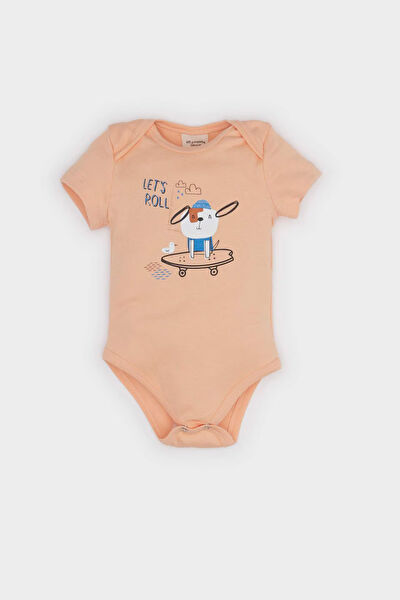 DeFacto Body, Zıbın