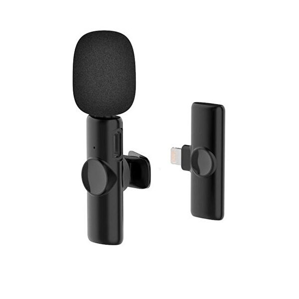 Techmaster Bilgisayar Mikrofonu