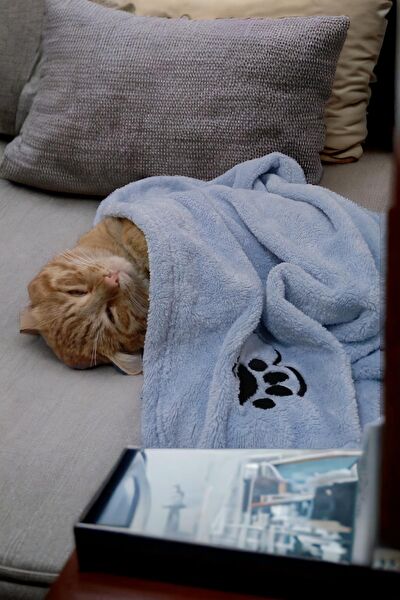 Mislina Home Kedi Yatağı