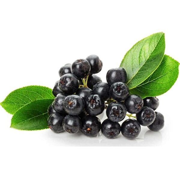 ANADOLUNUN ÖZÜ Çay