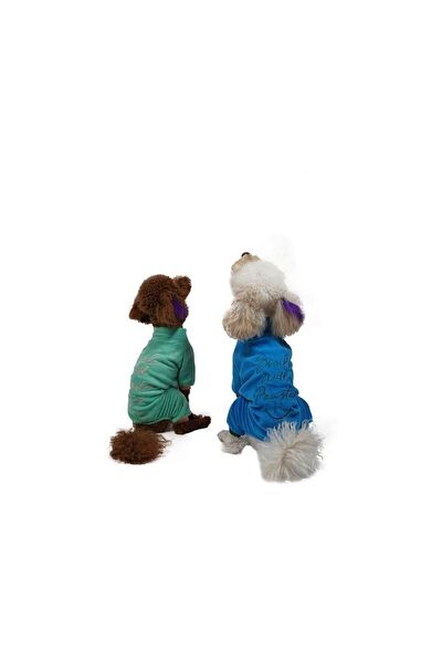 PawStar Köpek Elbisesi