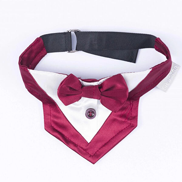 PawStar Köpek Elbisesi