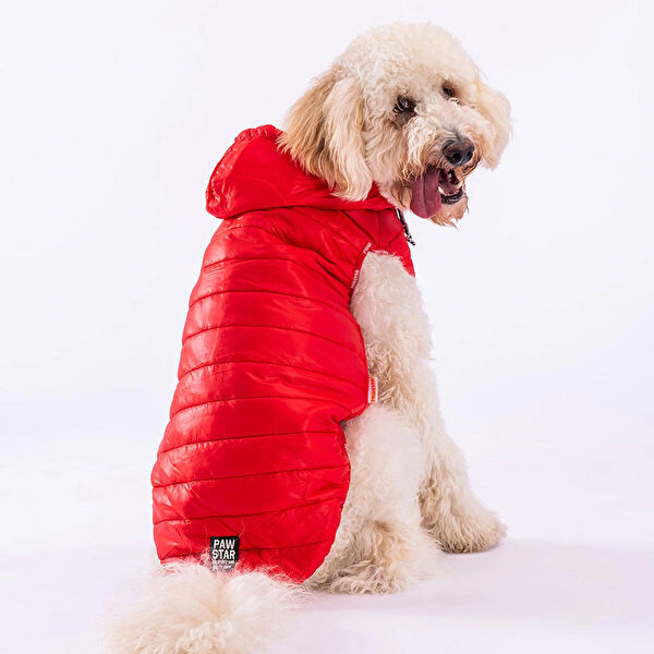 PawStar Köpek Elbisesi