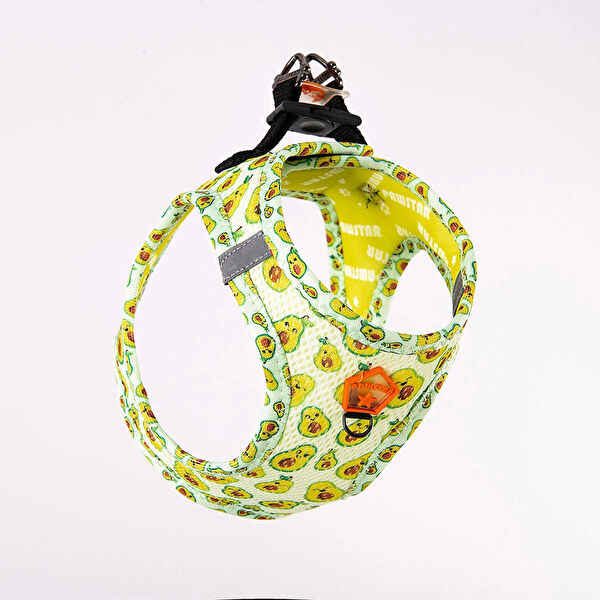 PawStar Köpek Tasmaları