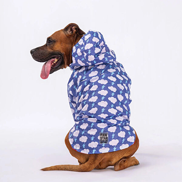 PawStar Köpek Elbisesi