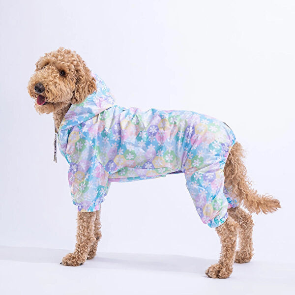 PawStar Köpek Elbisesi