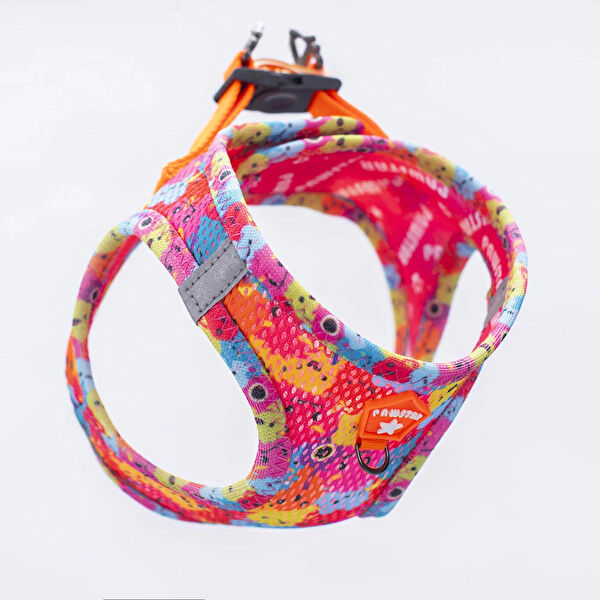 PawStar Köpek Tasmaları