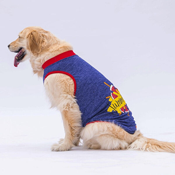 PawStar Köpek Elbisesi